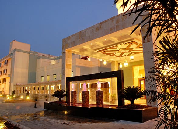 Gallery Image 2